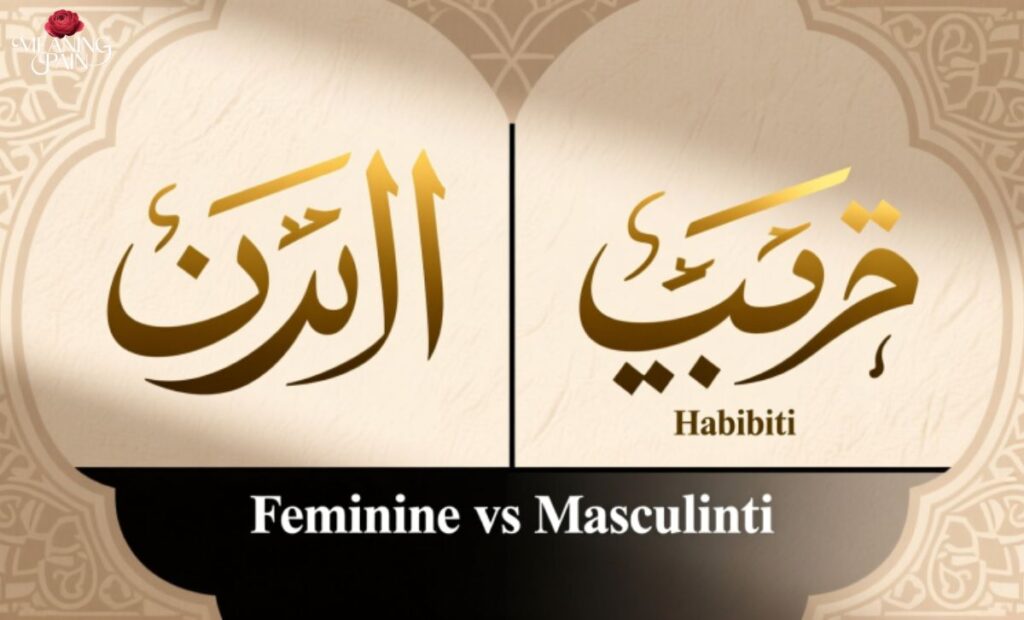Habibti vs Habibi Understanding the Difference