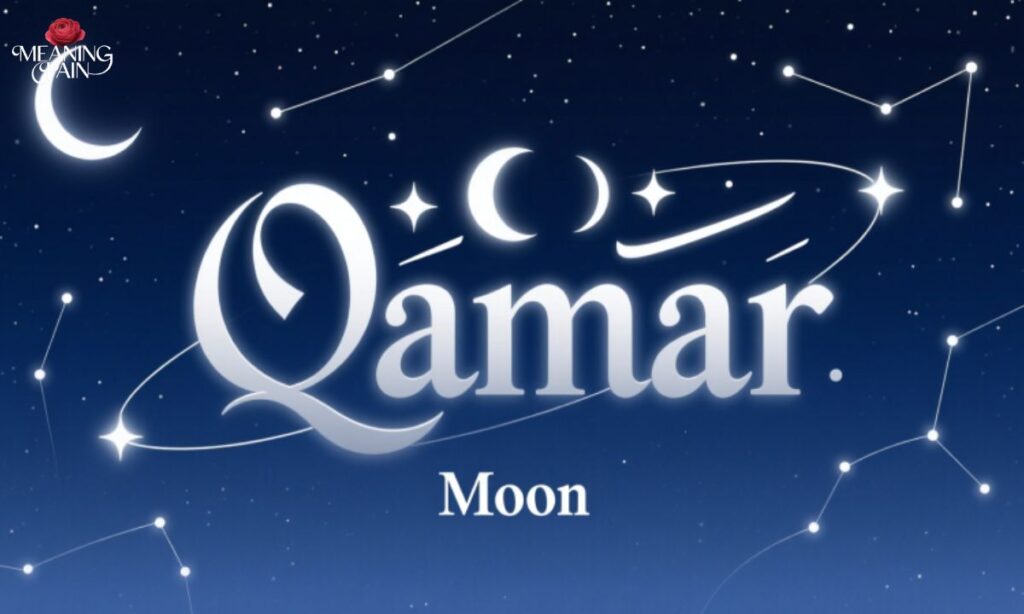 Qamar Meaning in English