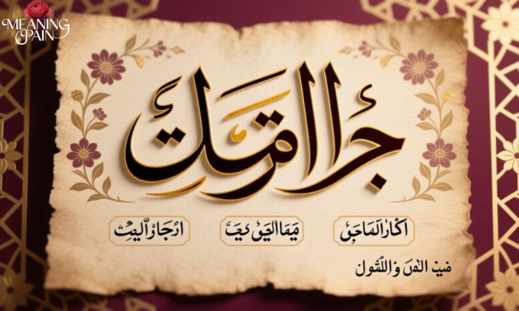 The Word "Jamila" Meaning in Arabic With Examples