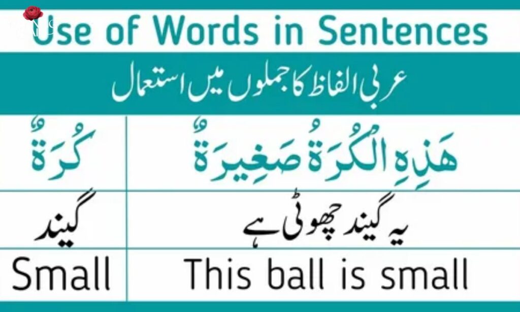 Using Maya in Arabic Sentences