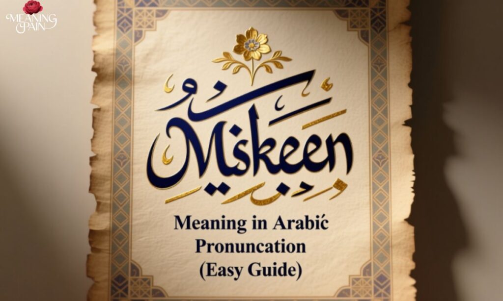 Miskeen Meaning in Arabic Pronunciation (Easy Guide)