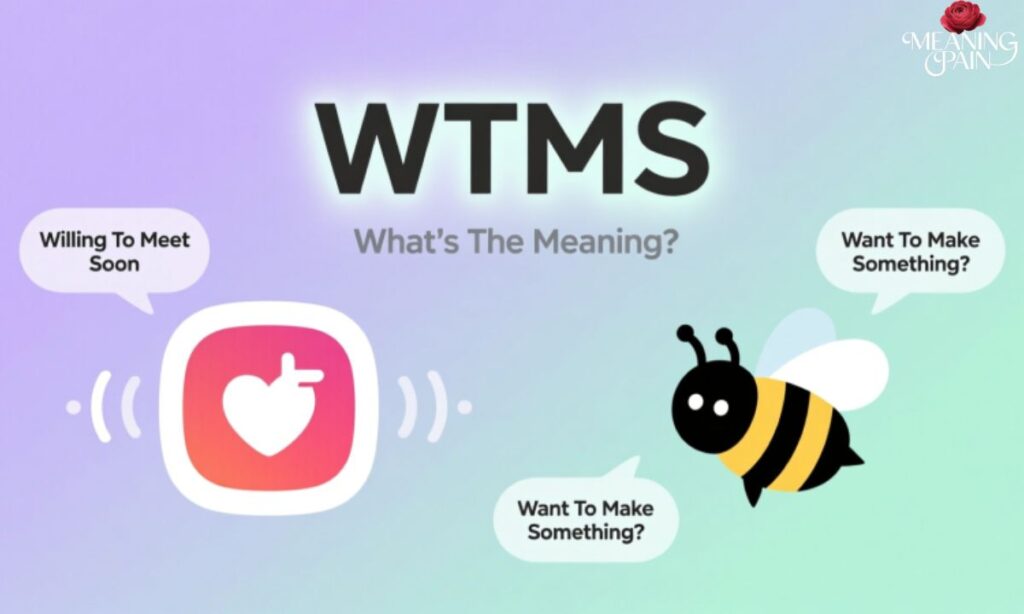 WTMS Meaning in Dating Apps (Tinder, Bumble)