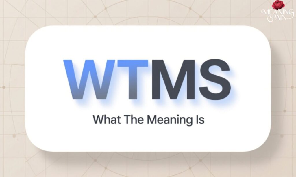 WTMS Meaning in Text
