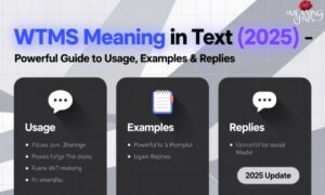 WTMS Meaning in Text (2025) Powerful Guide to Usage, Examples & Replies