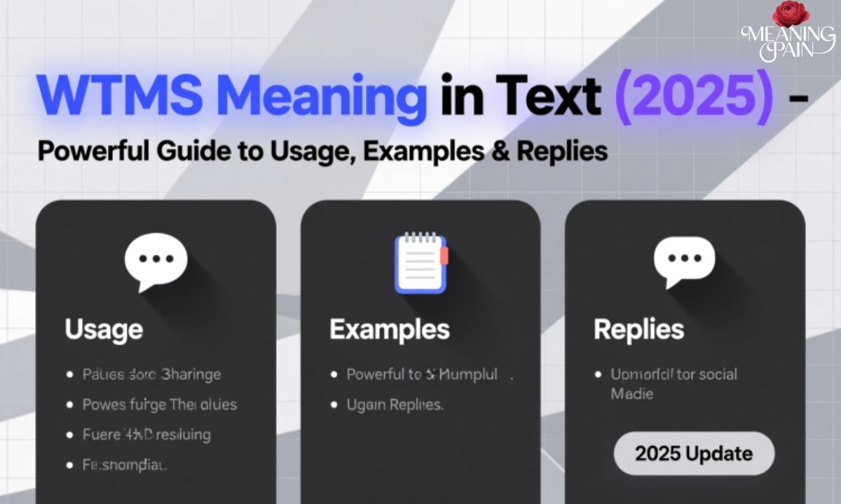 WTMS Meaning in Text (2025) Powerful Guide to Usage, Examples & Replies
