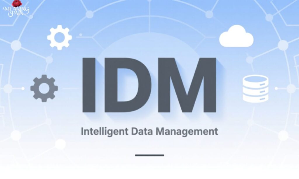 What Does IDM Mean in Text?