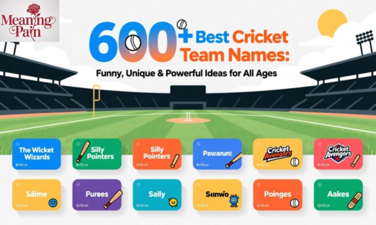 600+ Best Cricket Team Names Funny, Unique & Powerful Ideas for All Ages