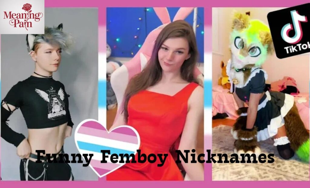 Funny Femboy Nicknames