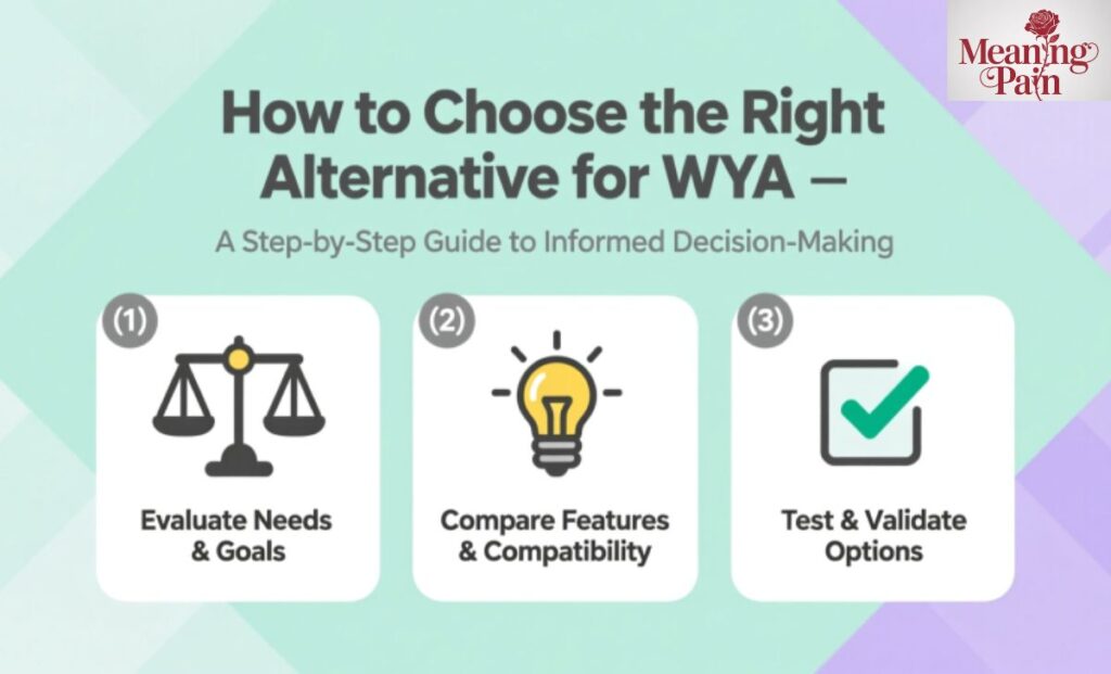 How to Choose the Right Alternative for WYA