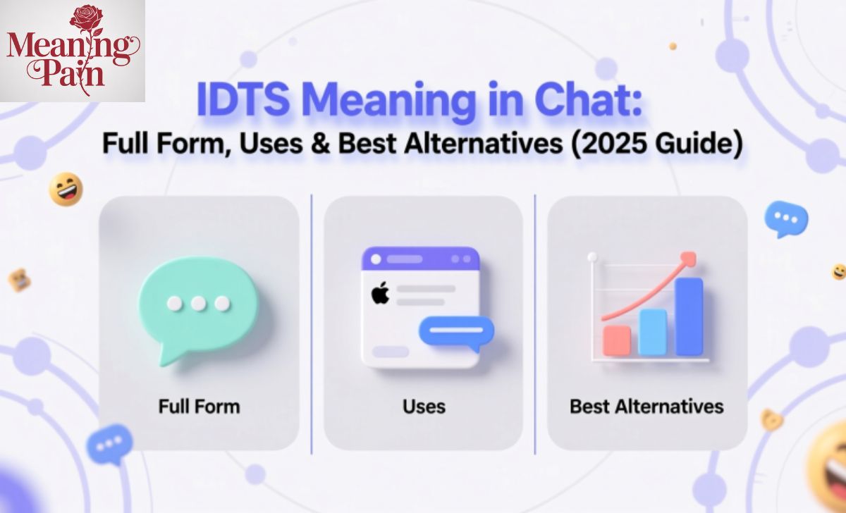 IDTS Meaning in Chat Full Form, Uses & Best Alternatives (2025 Guide)