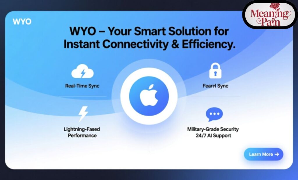 SEO-Friendly Quick Summary of WYO