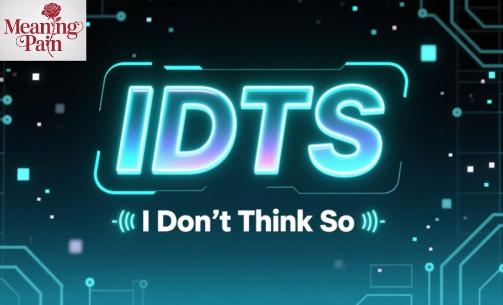 What Does “IDTS” Mean in Chat?