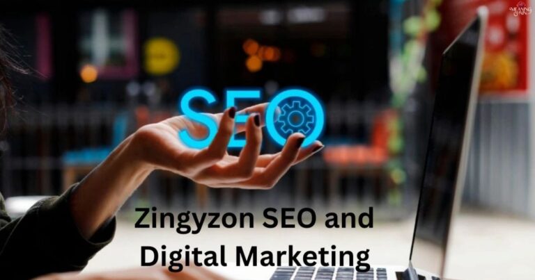 Zingyzon Com